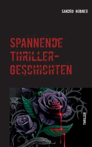 Spannende Thriller-Geschichten, Hbner Sandro