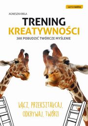 Trening kreatywnoci, Biela Agnieszka