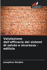 Valutazione dell'efficacia dei sistemi di salute e sicurezza - edilizia, Wanjiku Josephine