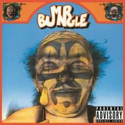 ksiazka tytu: Mr. Bungle autor: Mr. Bungle