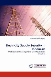 Electricity Supply Security in Indonesia, Wijaya Muhammad Ery