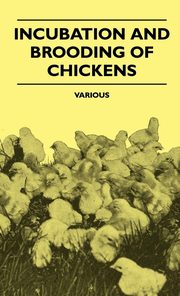 ksiazka tytu: Incubation and Brooding of Chickens autor: Various