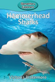 Hammerhead Sharks, Blakemore Victoria