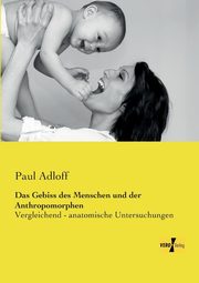 Das Gebiss des Menschen und der Anthropomorphen, Adloff Paul