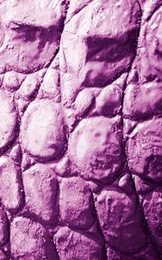 Alive! crocodile skin - Magenta duotone - Photo art notebooks (5 x 8 series), Jansson Eva-Lotta