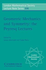 Geometric Mechanics and Symmetry, 