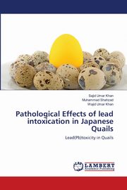 Pathological Effects of lead intoxication in Japanese Quails, Umar Khan Sajid