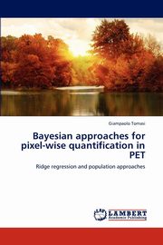 Bayesian Approaches for Pixel-Wise Quantification in Pet, Tomasi Giampaolo