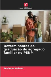 Determinantes da gradua?o do agregado familiar no PSNP, Gelana Teshome