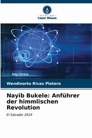 Nayib Bukele, Rivas Platero Wendinorto