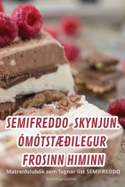 SEMIFREDDO SKYNJUN. MTST??ILEGUR FROSINN HIMINN, Bjrk Magnsdttir