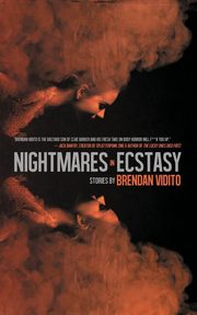 Nightmares in Ecstacy, Vidito Brendan