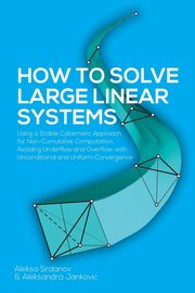 How to Solve Large Linear Systems, Srdanov Aleksa