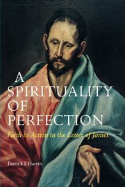 A Spirituality of Perfection, Hartin Patrick J.