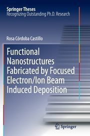 Functional Nanostructures Fabricated by Focused Electron/Ion Beam Induced Deposition, Crdoba Castillo Rosa