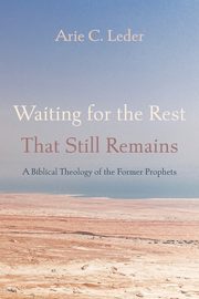 Waiting for the Rest That Still Remains, Leder Arie C.