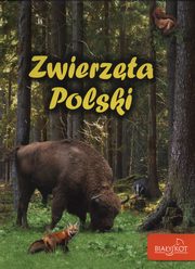 ksiazka tytu: Zwierzta Polski autor: Zarych Elbieta