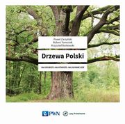 ksiazka tytu: Drzewa Polski autor: Zarzyski Pawe, Tomusiak Robert, Borkowski Krzysztof