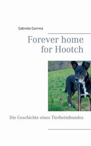 Forever home for Hootch, Gamma Gabriela