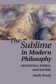 The Sublime in Modern Philosophy, Brady Emily