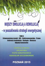 Midzy ewolucj a rewolucj - w poszukiwaniu strategii energetycznej Tom 2, 