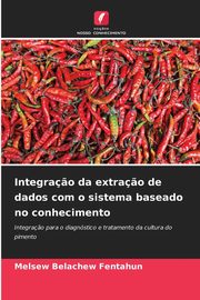 Integra?o da extra?o de dados com o sistema baseado no conhecimento, Fentahun Melsew Belachew