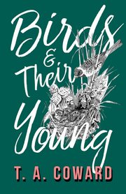 Birds and Their Young, Coward T. A.
