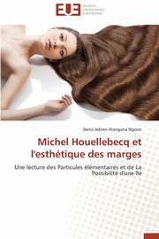 Michel houellebecq et l'esthtique des marges, NGONO-D