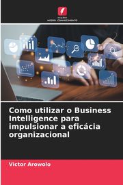 Como utilizar o Business Intelligence para impulsionar a eficcia organizacional, Arowolo Victor