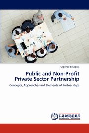 Public and Non-Profit Private Sector Partnership, Binagwa Fulgence