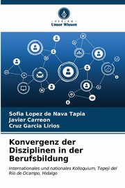 Konvergenz der Disziplinen in der Berufsbildung, Lpez de Nava Tapia Sofa