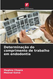 Determina?o do comprimento de trabalho em endodontia, Chopra Meghna