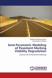 Semi-Parametric Modeling of Pavement Marking Visibility Degradation, Sathyanarayanan Sudhakar