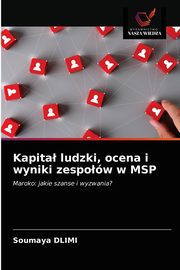 Kapita ludzki, ocena i wyniki zespow w MSP, DLIMI Soumaya