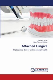 Attached Gingiva, Jahan Naseem