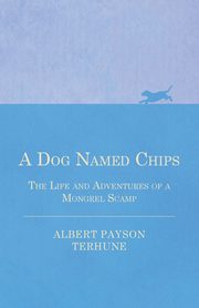 A Dog Named Chips - The Life and Adventures of a Mongrel Scamp, Terhune Albert Payson