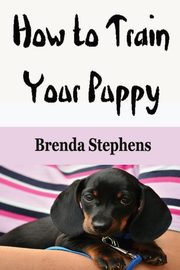 How to Train Your Puppy, Stephens Brenda