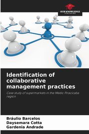 Identification of collaborative management practices, Barcelos Brulio