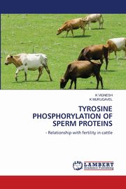 TYROSINE PHOSPHORYLATION OF SPERM PROTEINS, VIGNESH K