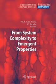 From System Complexity to Emergent Properties, 