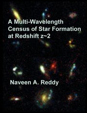 A Multi-Wavelength Census of Star Formation at Redshift z~2, Reddy Naveen A