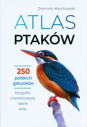 ksiazka tytu: Atlas ptakw autor: Marchowski Dominik