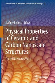 Physical Properties of Ceramic and Carbon Nanoscale Structures, 