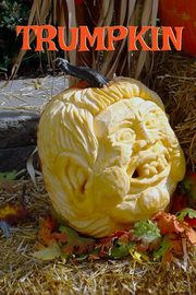 Trumpkin, Husk Corny
