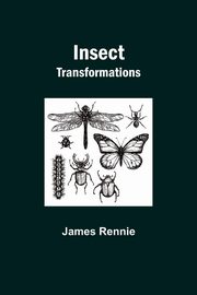 Insect Transformations, Rennie James