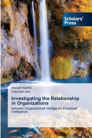 Investigating the Relationship in Organizations, Karimi Maryam