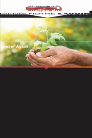Gouvernance de l'eau dans la valle du Jourdain, Ayadi Yousef
