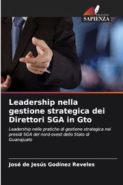 Leadership nella gestione strategica dei Direttori SGA in Gto, Godnez Reveles Jos de Jess