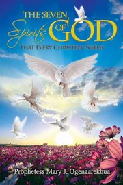 The Seven Spirits of God that Every Christian Needs, Ogenaarekhua Mary J