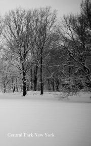 Central Park New York Journal, Huhn Michael